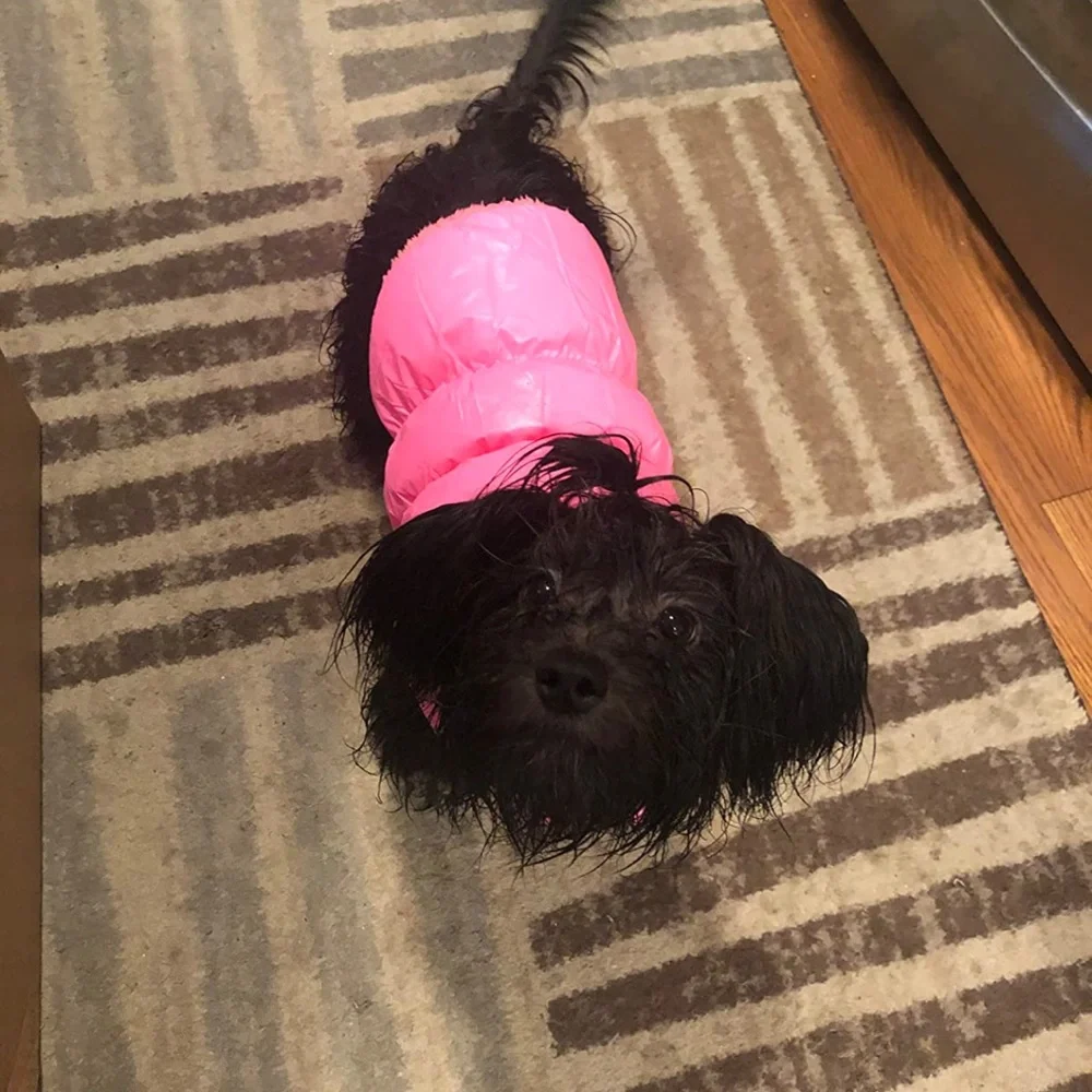 Dog Winter Puffer Jacket Size L pink Warm Pet Coat ,Dog Clothes Cozy